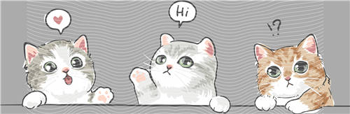 Best selling design-CX 2524